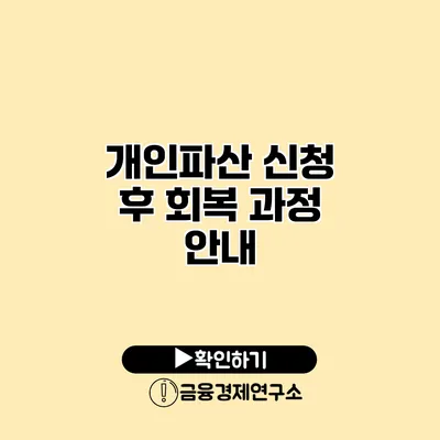 개인파산 신청 후 회복 과정 안내