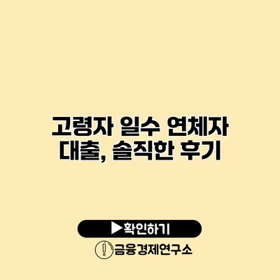 고령자 일수 연체자 대출, 솔직한 후기