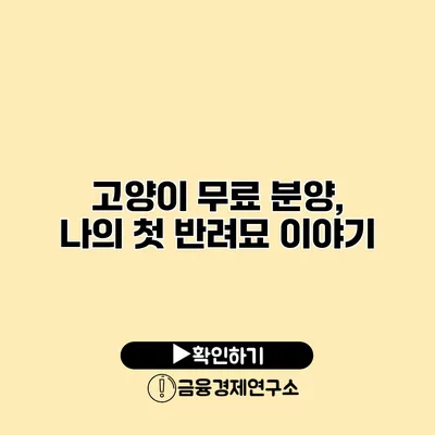 고양이 무료 분양, 나의 첫 반려묘 이야기