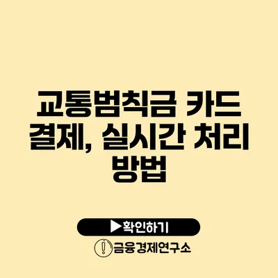 교통범칙금 카드 결제, 실시간 처리 방법