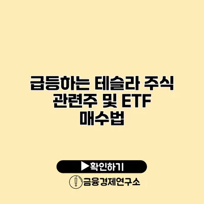 급등하는 테슬라 주식 관련주 및 ETF 매수법