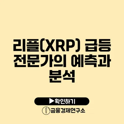 리플(XRP) 급등 전문가의 예측과 분석