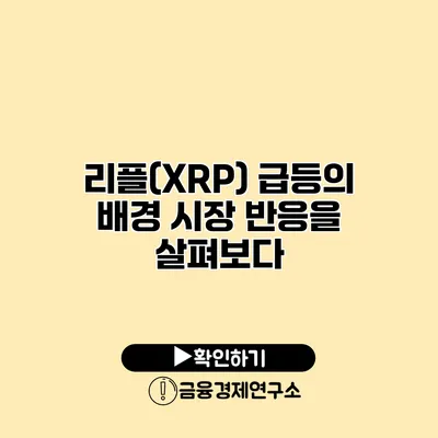 리플(XRP) 급등의 배경 시장 반응을 살펴보다