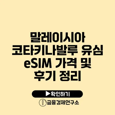 말레이시아 코타키나발루 유심 eSIM 가격 및 후기 정리