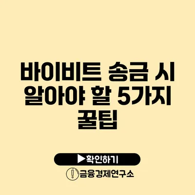 바이비트 송금 시 알아야 할 5가지 꿀팁