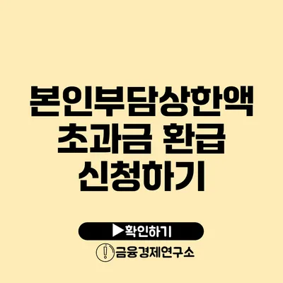 본인부담상한액 초과금 환급 신청하기