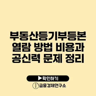 부동산등기부등본 열람 방법 비용과 공신력 문제 정리