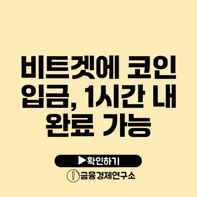비트겟에 코인 입금, 1시간 내 완료 가능?