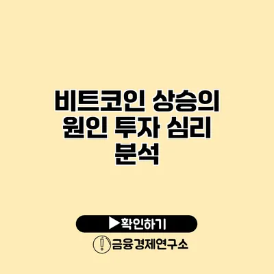 비트코인 상승의 원인 투자 심리 분석