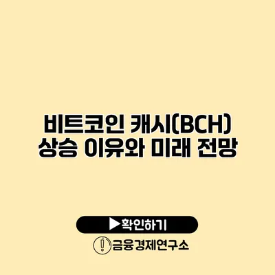 비트코인 캐시(BCH) 상승 이유와 미래 전망