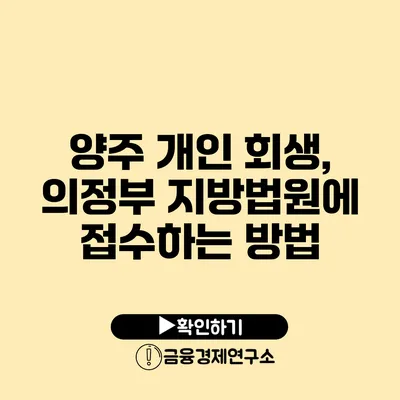 양주 개인 회생, 의정부 지방법원에 접수하는 방법