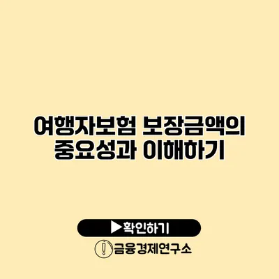 여행자보험 보장금액의 중요성과 이해하기