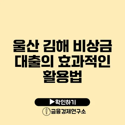 울산 김해 비상금 대출의 효과적인 활용법