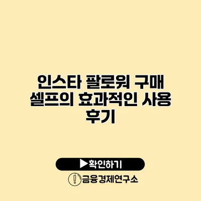 인스타 팔로워 구매 셀프의 효과적인 사용 후기