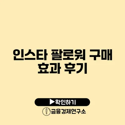 인스타 팔로워 구매 효과 후기