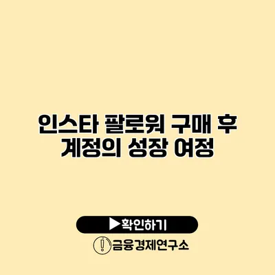 인스타 팔로워 구매 후 계정의 성장 여정