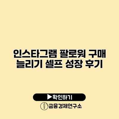 인스타그램 팔로워 구매 늘리기 셀프 성장 후기