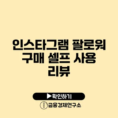 인스타그램 팔로워 구매 셀프 사용 리뷰