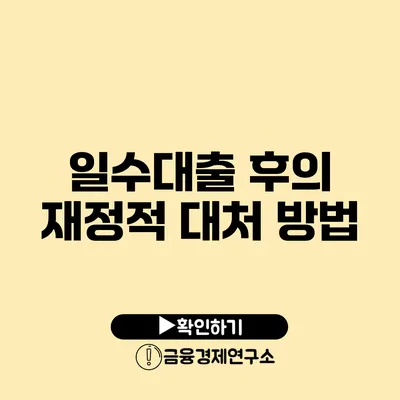 일수대출 후의 재정적 대처 방법