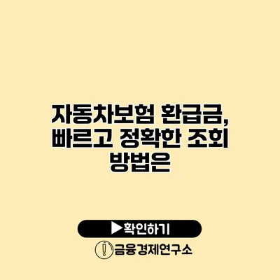 자동차보험 환급금, 빠르고 정확한 조회 방법은?