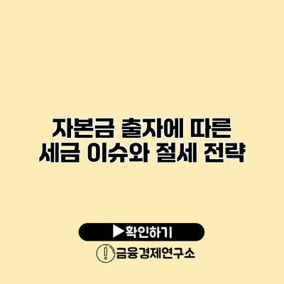 자본금 출자에 따른 세금 이슈와 절세 전략