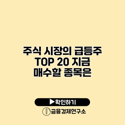 주식 시장의 급등주 TOP 20 지금 매수할 종목은?