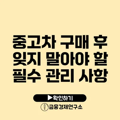 중고차 구매 후 잊지 말아야 할 필수 관리 사항