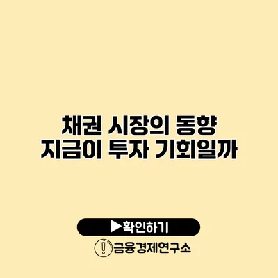 채권 시장의 동향 지금이 투자 기회일까?