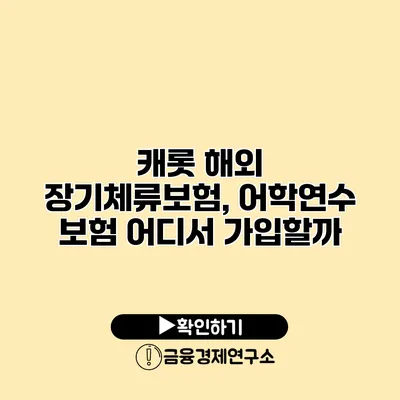캐롯 해외 장기체류보험, 어학연수 보험 어디서 가입할까?