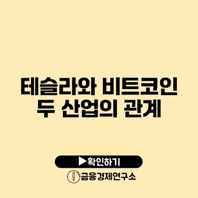 테슬라와 비트코인 두 산업의 관계