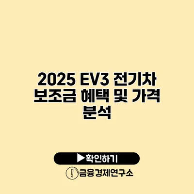 2025 EV3 전기차 보조금 혜택 및 가격 분석