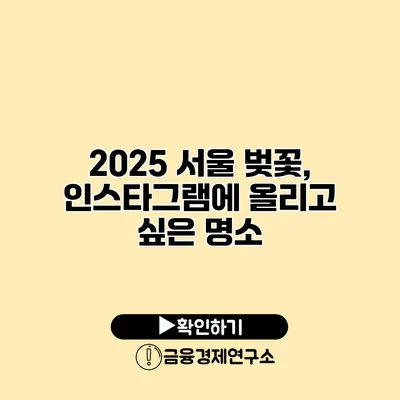 2025 서울 벚꽃, 인스타그램에 올리고 싶은 명소