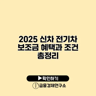 2025 신차 전기차 보조금 혜택과 조건 총정리