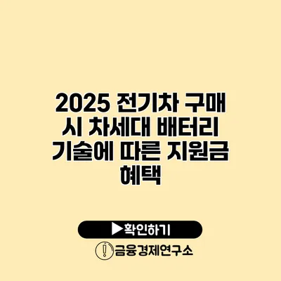 2025 전기차 구매 시 차세대 배터리 기술에 따른 지원금 혜택