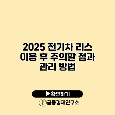 2025 전기차 리스 이용 후 주의할 점과 관리 방법