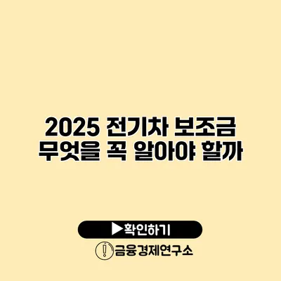 2025 전기차 보조금 무엇을 꼭 알아야 할까?