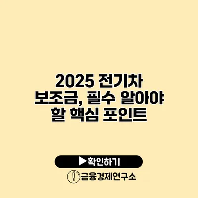 2025 전기차 보조금, 필수 알아야 할 핵심 포인트