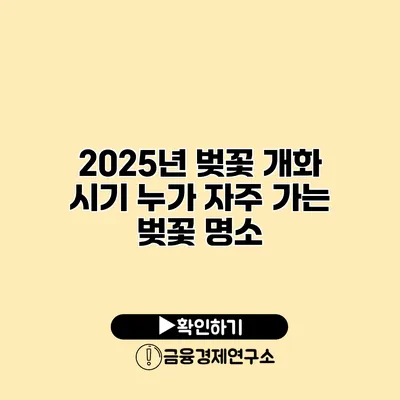 2025년 벚꽃 개화 시기 누가 자주 가는 벚꽃 명소?