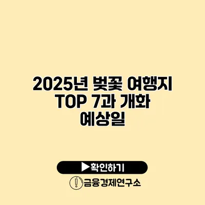 2025년 벚꽃 여행지 TOP 7과 개화 예상일