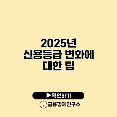 2025년 신용등급 변화에 대한 팁