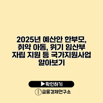 2025년 예산안 한부모, 취약 아동, 위기 임산부 자립 지원 등 국가지원사업 알아보기