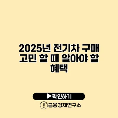 2025년 전기차 구매 고민 할 때 알아야 할 혜택