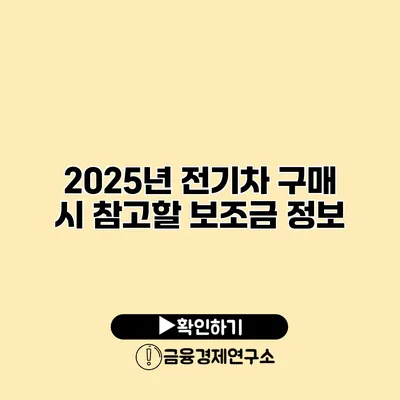 2025년 전기차 구매 시 참고할 보조금 정보
