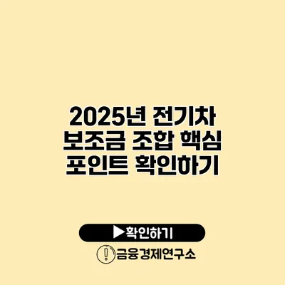 2025년 전기차 보조금 조합 핵심 포인트 확인하기
