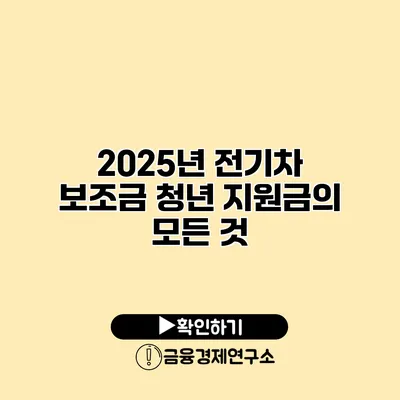 2025년 전기차 보조금 청년 지원금의 모든 것