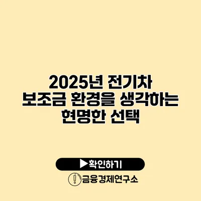 2025년 전기차 보조금 환경을 생각하는 현명한 선택