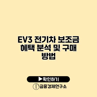EV3 전기차 보조금 혜택 분석 및 구매 방법