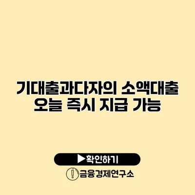 기대출과다자의 소액대출 오늘 즉시 지급 가능