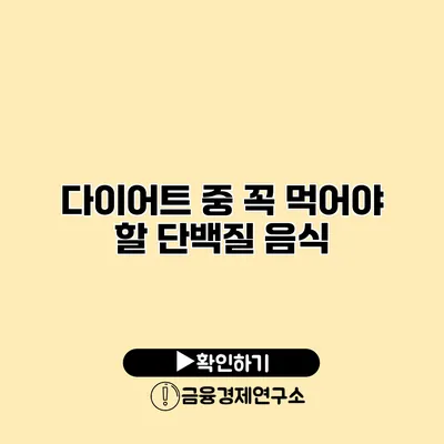 다이어트 중 꼭 먹어야 할 단백질 음식