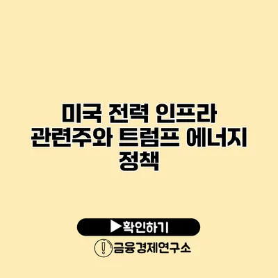 미국 전력 인프라 관련주와 트럼프 에너지 정책